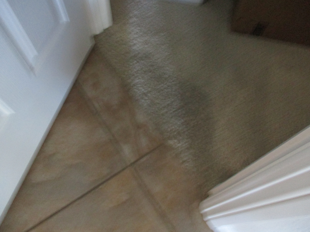 Click for Full Image/#21/Meier Water Damage 021.JPG